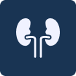 Keto will damage your kidneys.