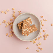 Vegan Peanut Butter Fudge Slice